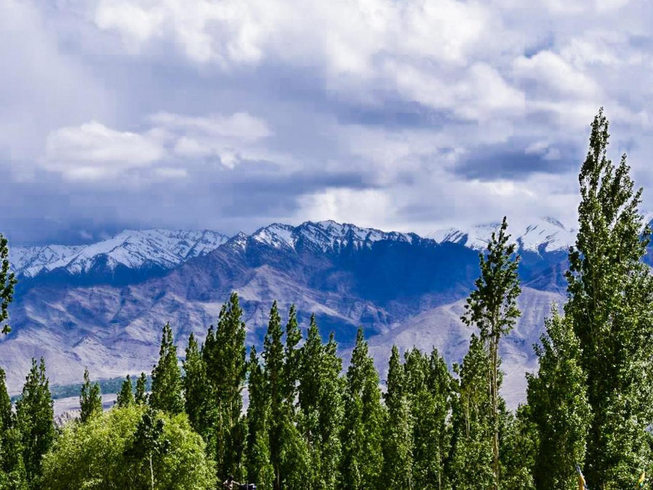 Hotel City Palace Leh Buitenkant foto