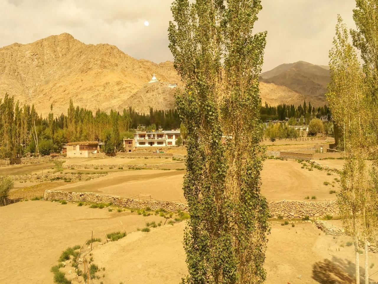 Hotel City Palace Leh Buitenkant foto
